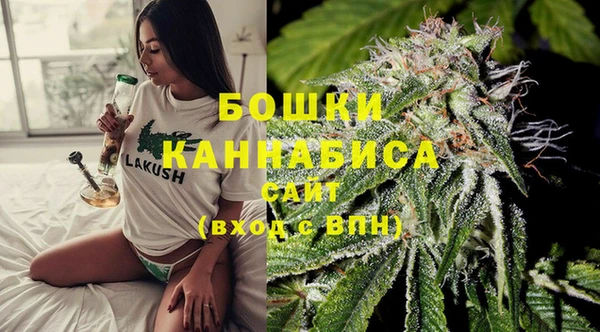 шишки Армянск