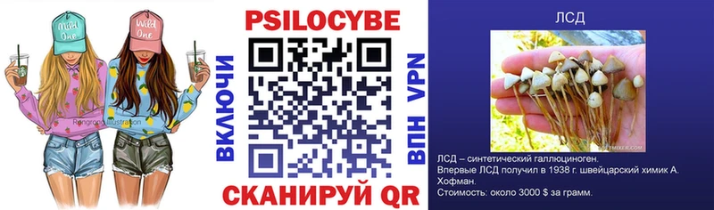 как найти закладки  Омск  Псилоцибиновые грибы Cubensis 